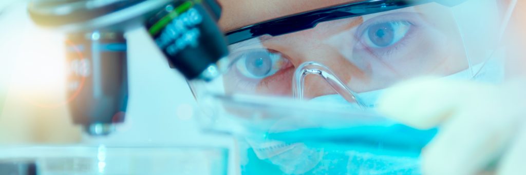 White Paper: Passos para o desenvolvimento de um alimento inovador