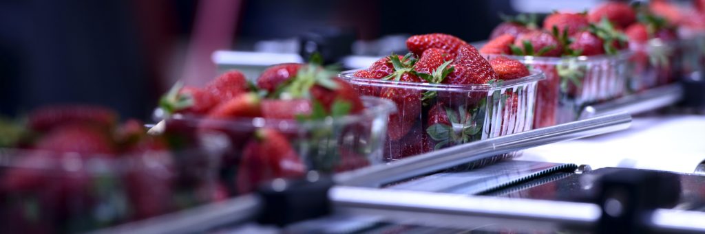 E-book: Rastreabilidade na indústria de alimentos e bebidas