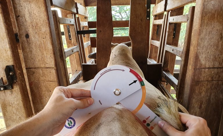 sagabov_renata_silva (8).jpg