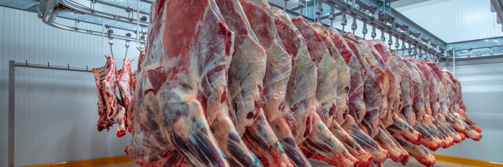 White Paper: Avaliação de carcaça – por que aferir para melhorar a qualidade da carne
