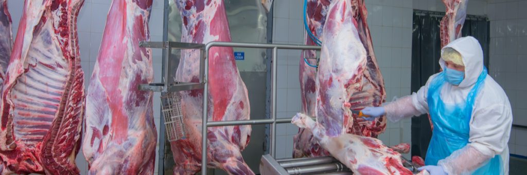 Infográfico: Regras para trabalhar em situações de exposição ao frio