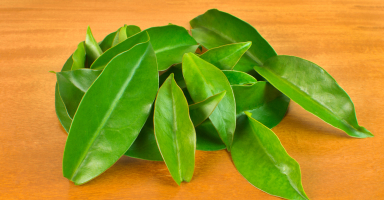 Plantas Alimentícias Não Convencionais: novas oportunidades de mercado ainda pouco exploradas pela indústria e pela população