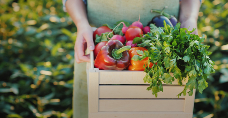 Sustentabilidade: por que a produção e processamento de produtos orgânicos reúne as melhores condições para se investir?