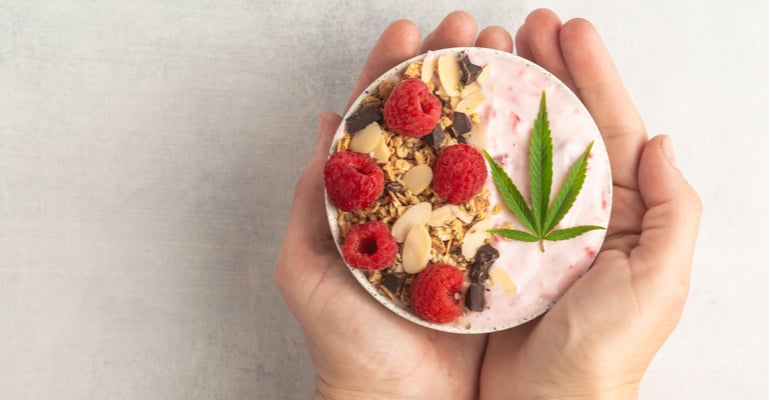 Equador propõe regular o uso de derivados de cannabis como ingredientes alimentícios