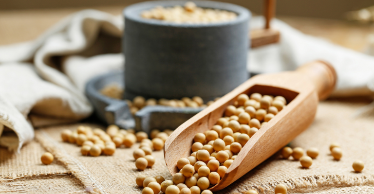 Artigo 3 - Proteína de Soja.png