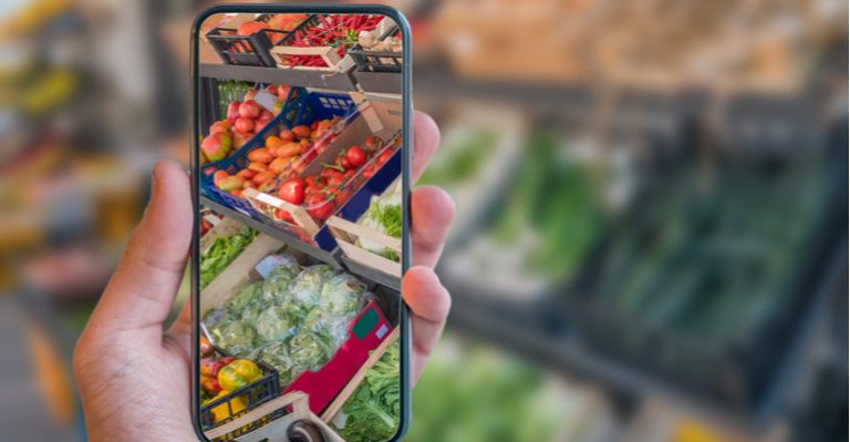 cadeia alimentícia 2021.jpg