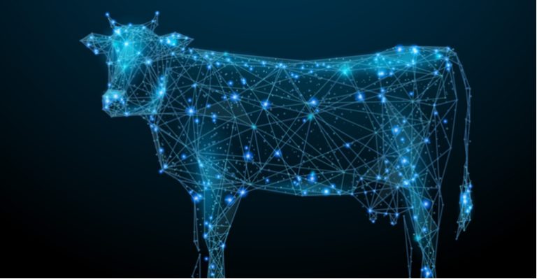 inovação e tendências do mercado de proteína animal.jpg