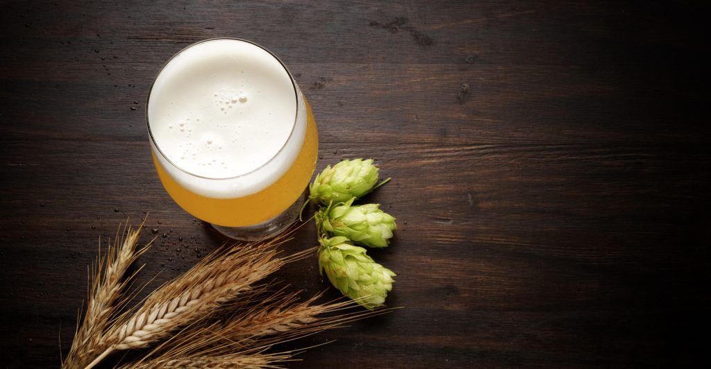 E-book: Guia da Indústria da cerveja artesanal