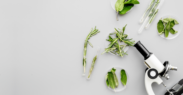 [WHITE PAPER] Inovação para pequenas e médias indústrias: alternativas aplicáveis e acessíveis para o seu negócio