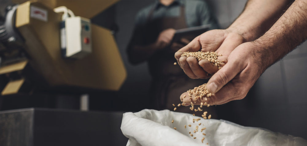 Indústria de cerveja artesanal ganha espaço no Brasil