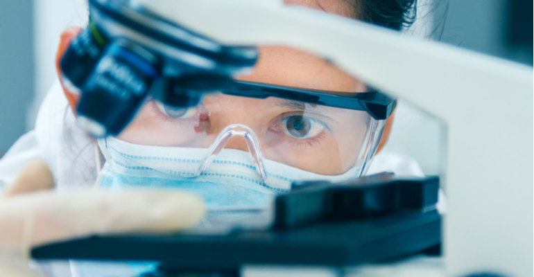 Novos alimentos e ingredientes, quais os procedimentos junto à ANVISA?