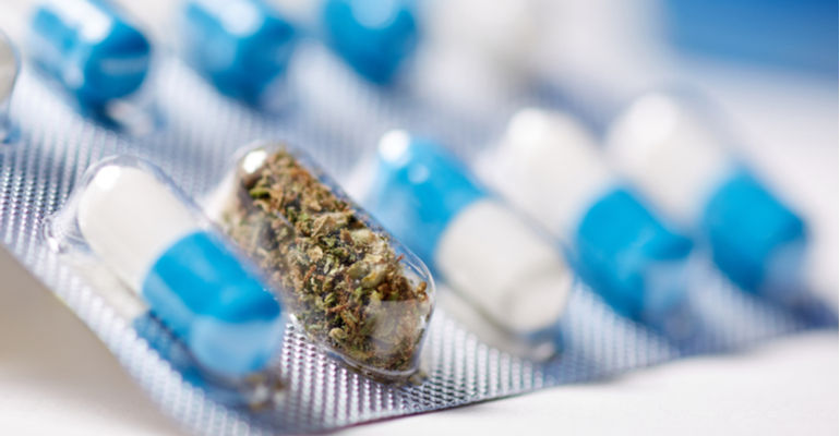 Equador autoriza o uso de cannabis e seus derivados como ingrediente em alimentos e suplementos alimentares