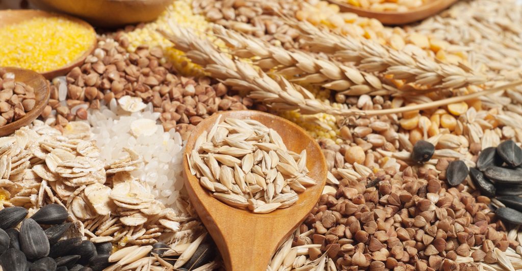 Ozonização como tecnologia sustentável para a conservação de cereais