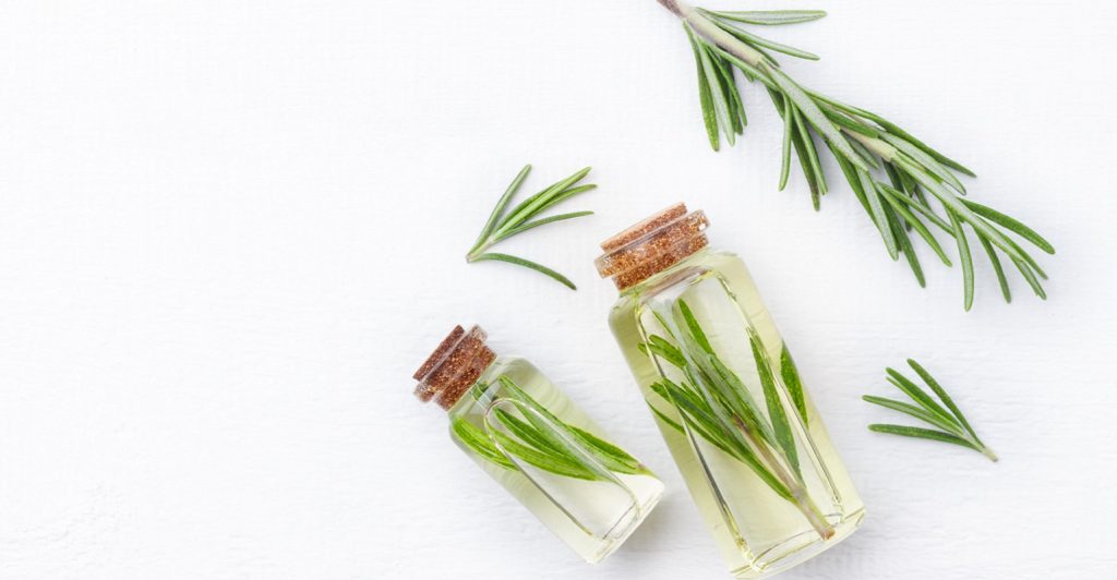 Extrato de alecrim: aumentando a estabilidade de óleos com antioxidantes