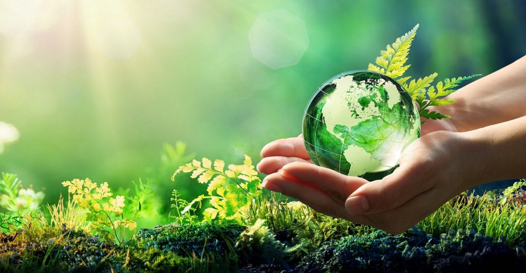 Sustentabilidade em pauta: conheça a filosofia da Rousselot