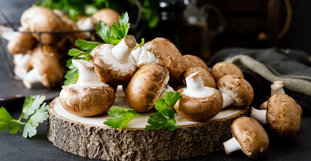 A proteína do futuro: muito além do plant-based