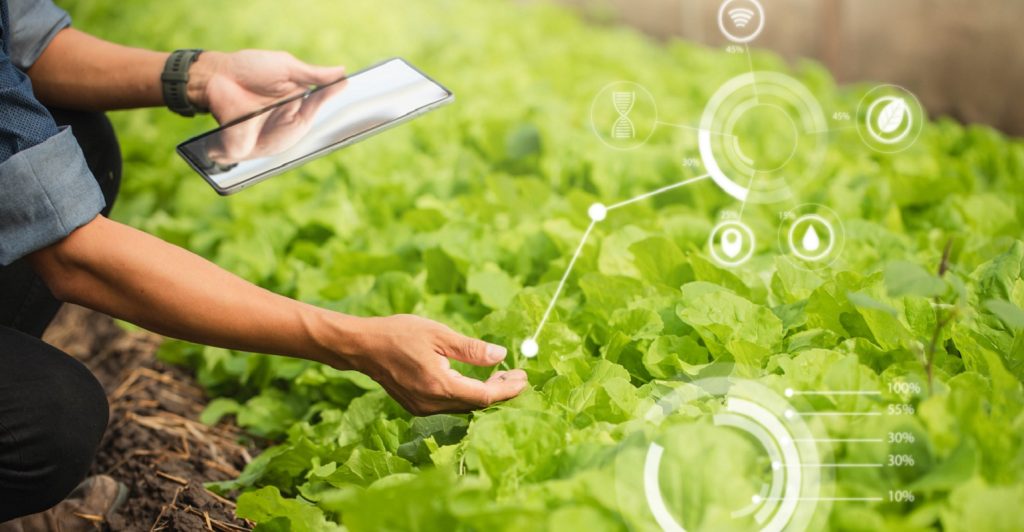 Tecnologia agropecuária e seus impactos no setor de alimentos