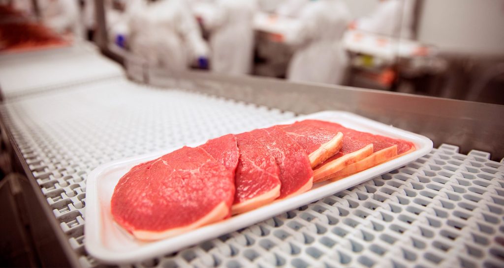 Automatização da produção de proteína animal: tudo o que você precisa saber