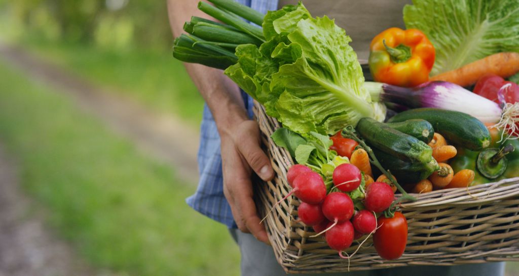 Cabe à indústria capacitar os agricultores parceiros nas práticas ESG?
