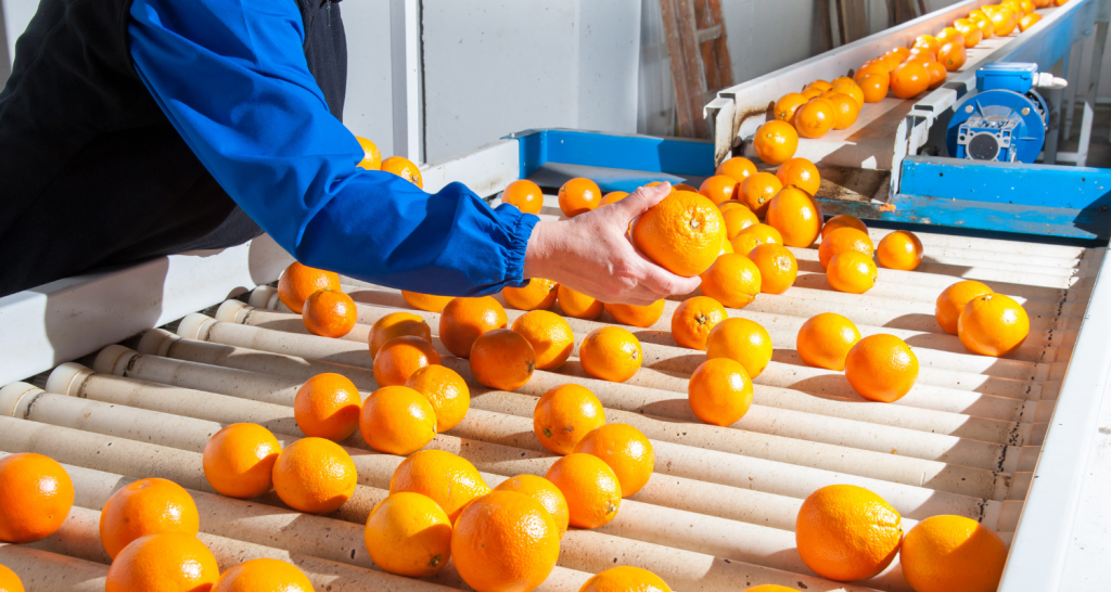 Gerenciamento de perdas na cadeia de produção