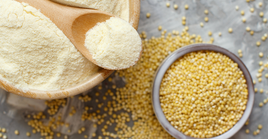 Grão de milheto: cereal rico em fibras e proteínas