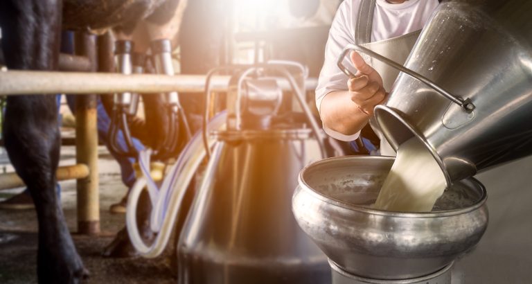 Proteínas lácteas Conheça as vantagens e a importância para a saúde humana.jpg