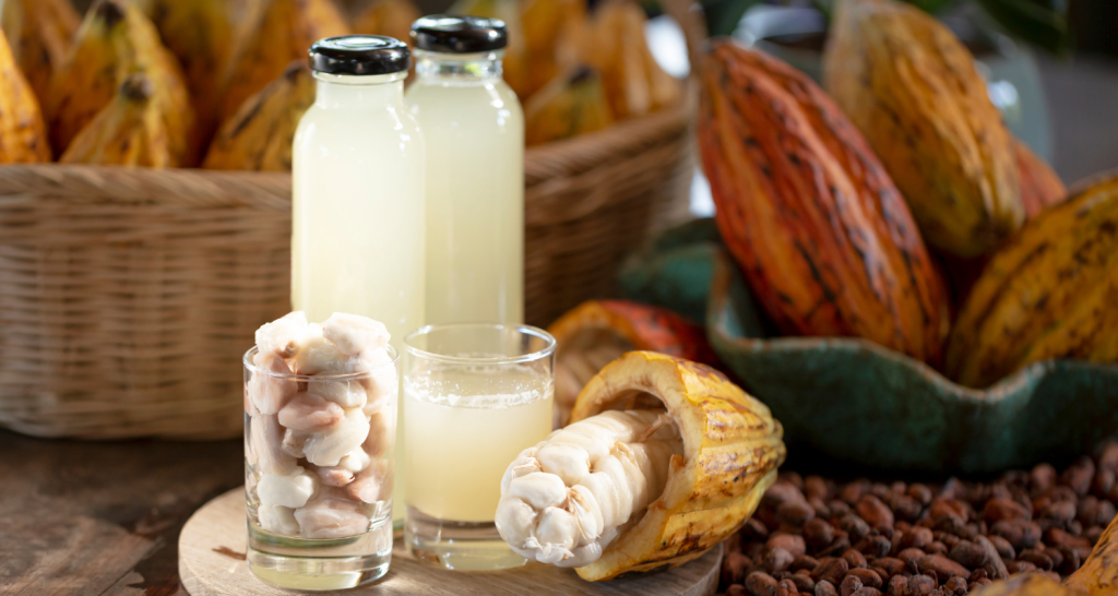 Cacau: um alimento que representa o movimento Upcycling Food