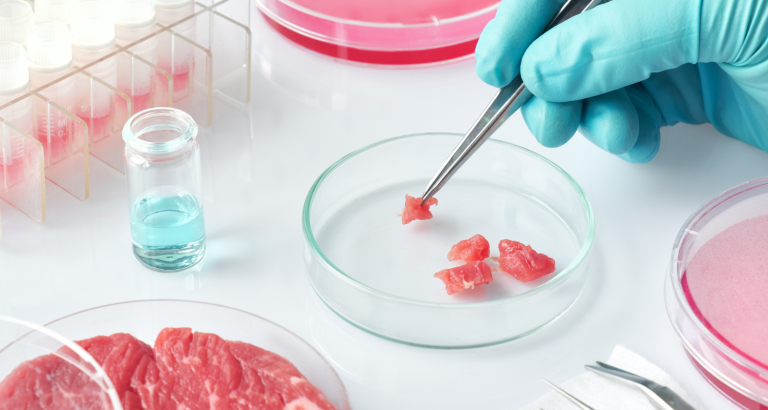 Carne cultivada em laboratório deve chegar ao mercado brasileiro em 2024.png