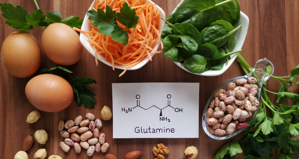 Glutamina: a quem o suplemento é destinado?