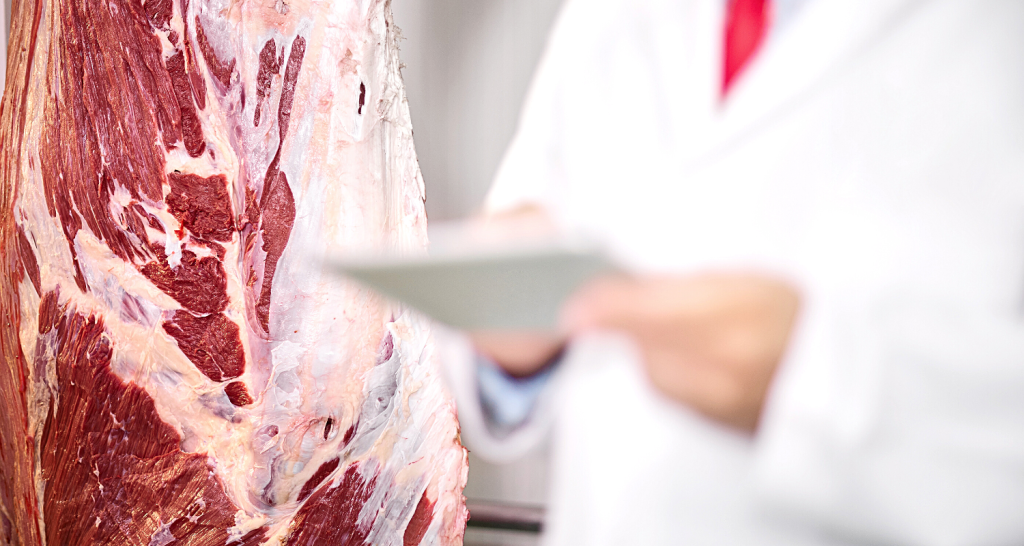 Ciclo de palestras TecnoCarne aborda tendências e novidades do mercado de processamento de proteínas