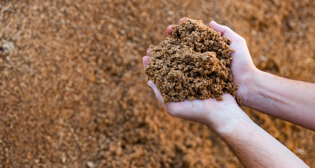 Cervejaria transforma lixo em receita e protege o meio ambiente