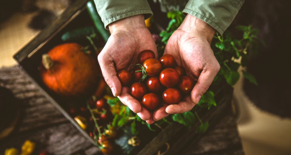 Produtos orgânicos, clean label e plant based estão entre os temas abordados no Warm Up FiSA