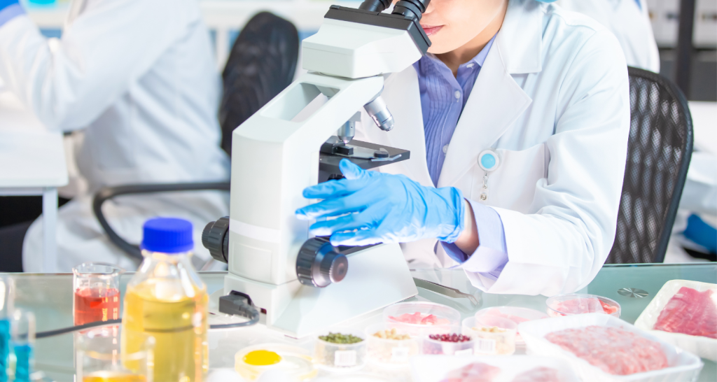 Regularização de novos ingredientes: da viabilidade ao relatório técnico