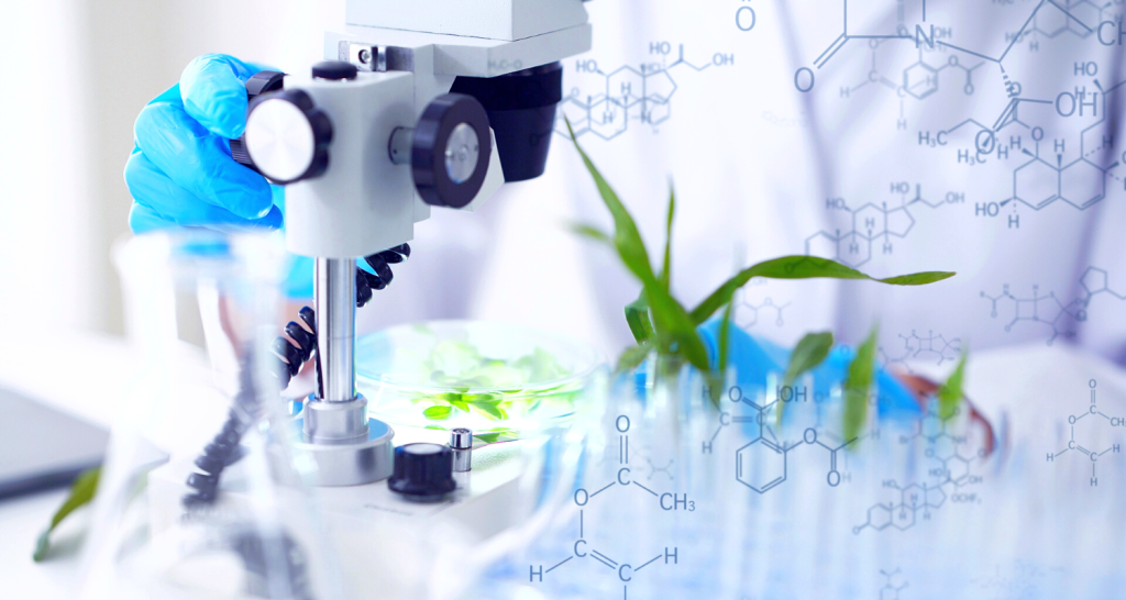 Startups de ingredientes: desafios e impactos no impulsionamento da inovação