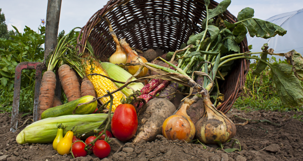 Expansão dos orgânicos: qual a tendência para os próximos anos