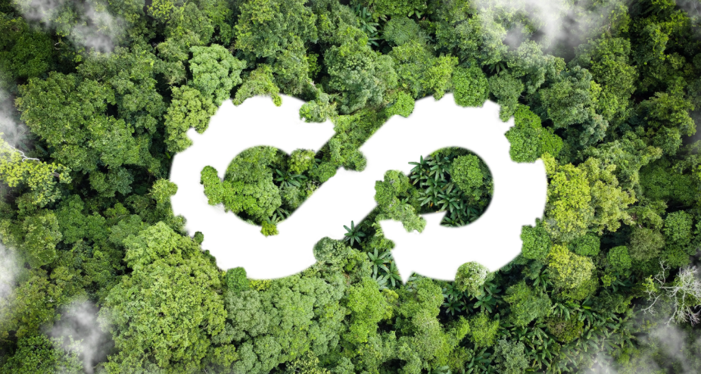 A Economia Circular na Amazônia