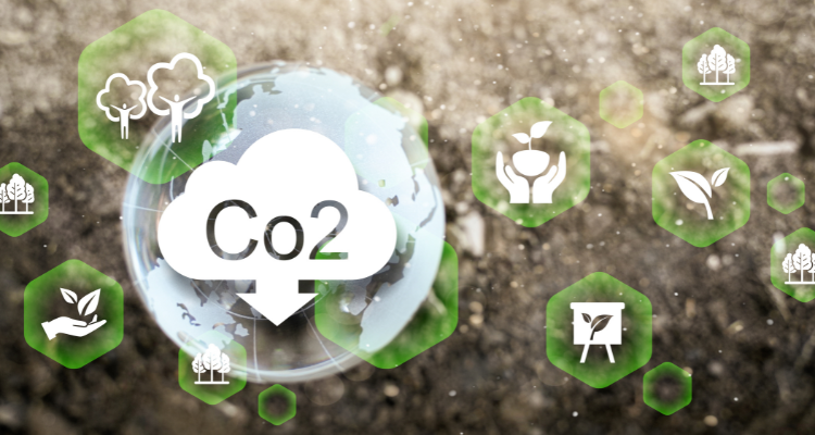 Carbono zero na indústria de carnes.png