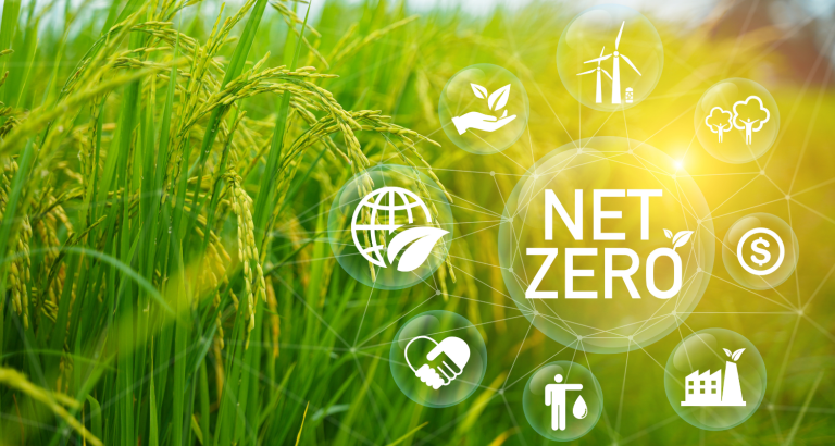 Produção de carne e o mercado de carbono.png