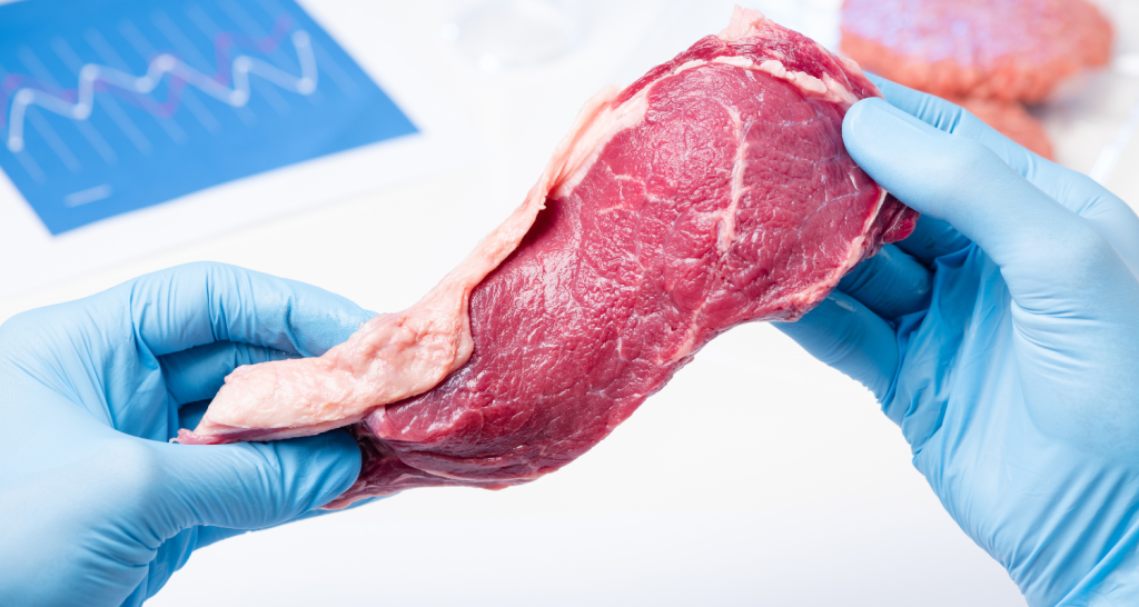 Tendências quanto à segurança alimentar na produção de carnes e produtos cárneos