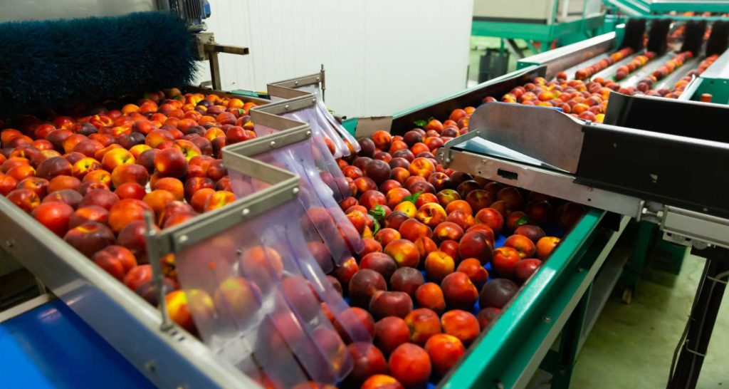 Deterioração de alimentos: desafios para as indústrias alimentícias no Brasil
