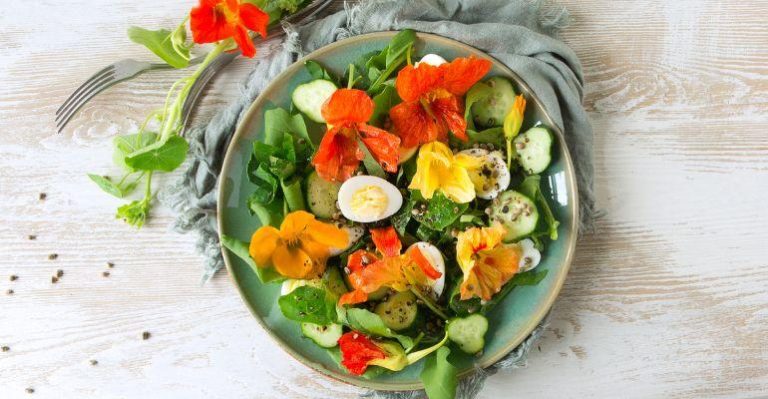 Flores comestíveis conheça este segmento crescente na alta gastronomia.jpg