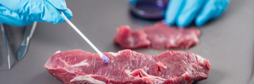 White Paper: Parâmetros de qualidade de carne