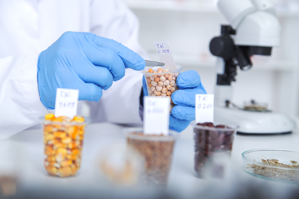 Entenda as etapas de pesquisa para desenvolver novos alimentos