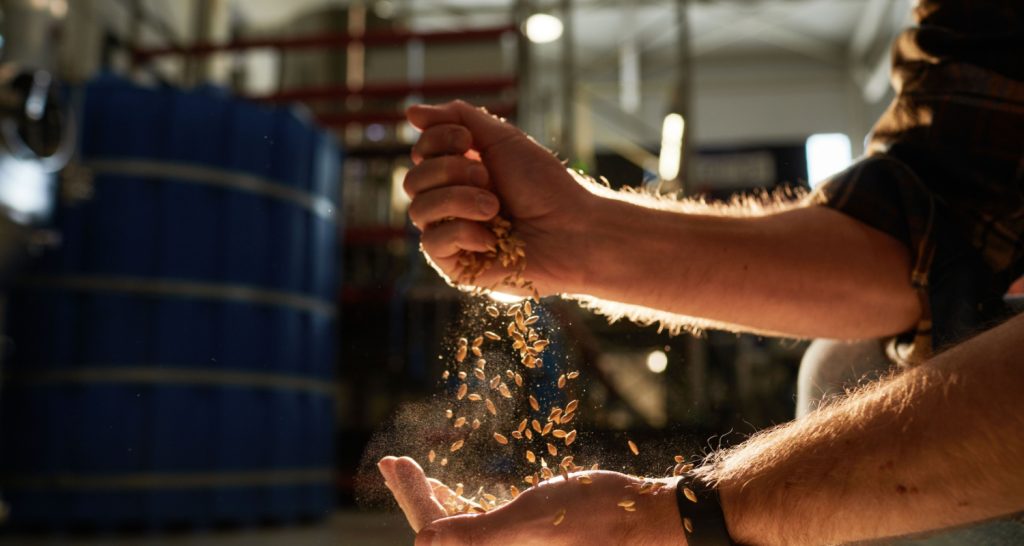 Entenda a importância do trigo para o mercado cervejeiro