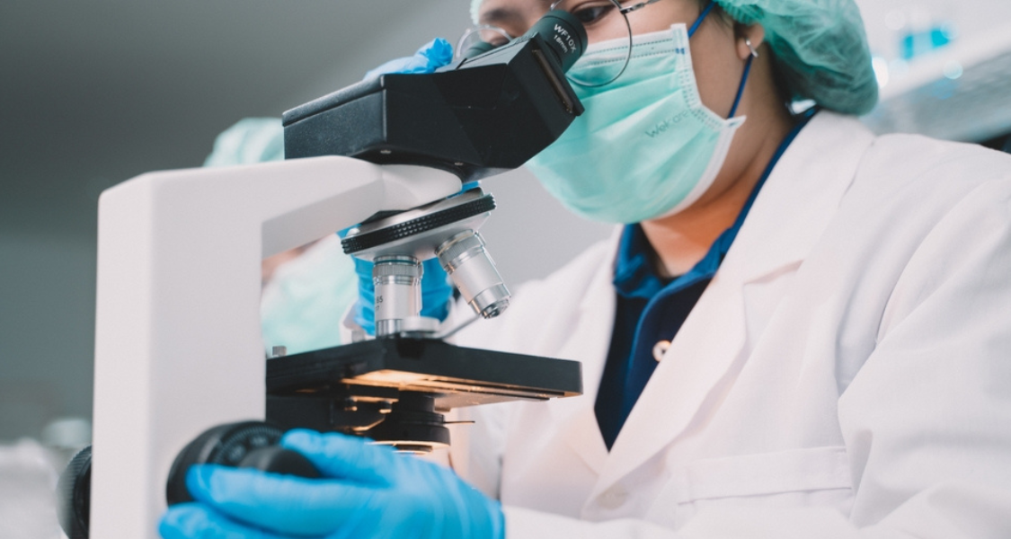 indivíduo está operando um microscópio óptico, com as mãos vestidas em luvas de procedimento azuis ajustando os botões de foco do equipamento.