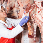 A imagem mostra uma profissional dentro de um frigorífico, realizando uma inspeção em carcaças de carne bovina penduradas. Ela usa uniforme de higiene composto por touca, jaleco branco, avental vermelho e luvas azuis. A mulher segura um termômetro ou instrumento de medição, verificando a temperatura ou a qualidade da carne.