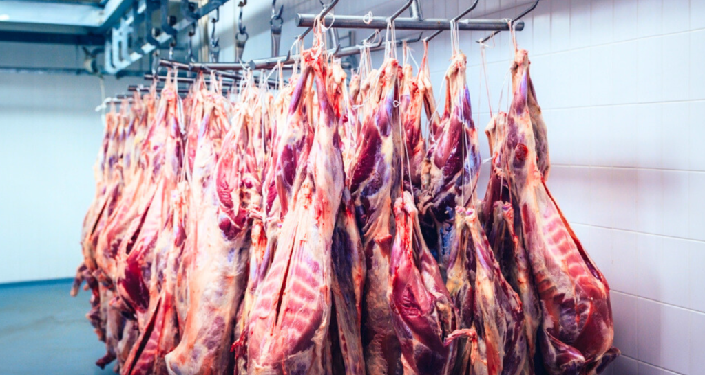 Exportação de carne: como vender produtos cárneos de boi, frango e suíno para mercados internacionais [Ebook]