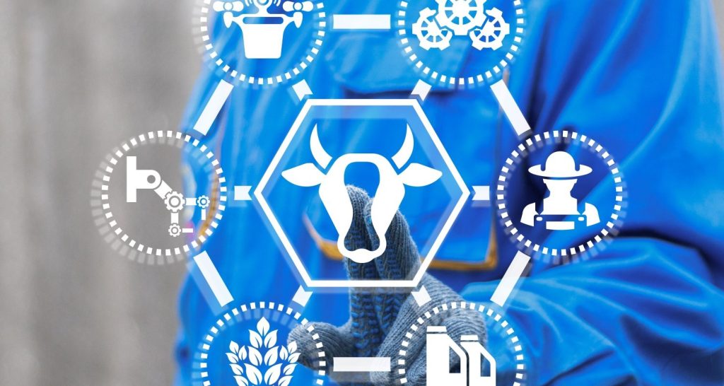 Como a IA vem transformando os frigoríficos no Brasil