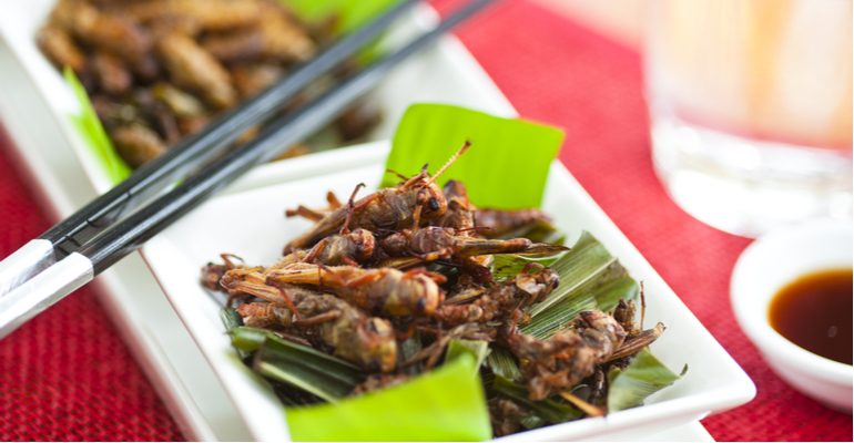 “Insect based”: a proteína do futuro?