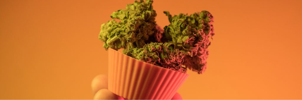 Uruguai aprova uso de derivados de cannabis como ingredientes alimentares